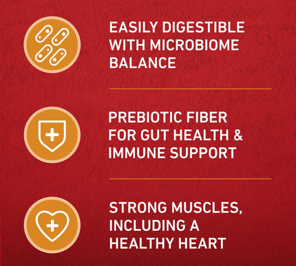 Product Image 4 - Purina ONE Chicken and