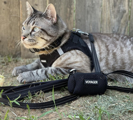 Product Image 8 - Best Pet Supplies Voya