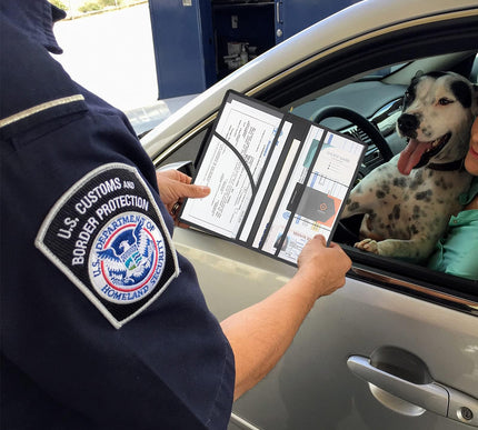 Product Image 7 - LumiMokki Premium Car 