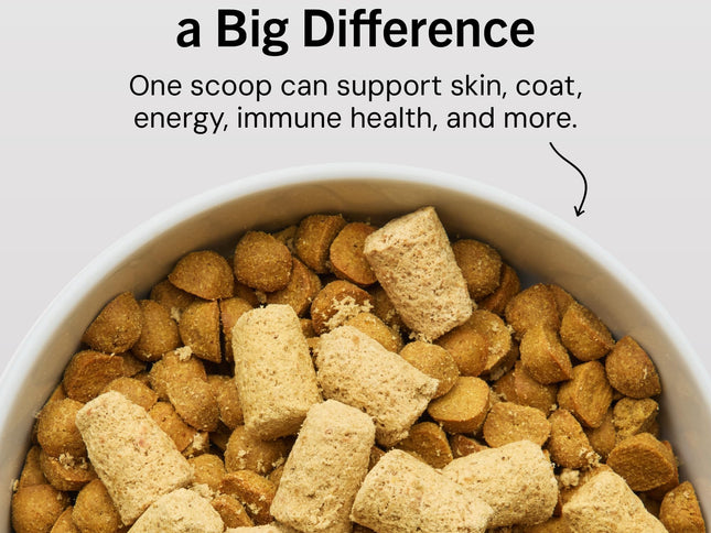 Product Image 2 - Stella & Chewy's Freez