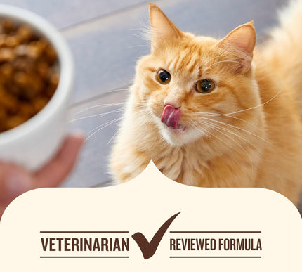 Product Image 7 - Nutrish Indoor Complet