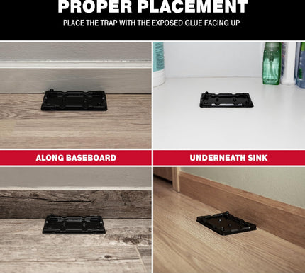 Product Image 6 - Catchmaster Mouse Inse