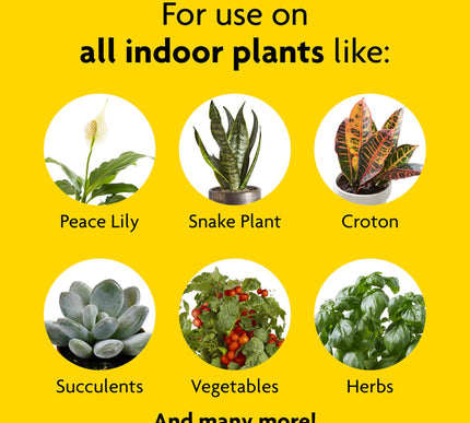 Product Image 4 - MiracleGro Indoor Plan