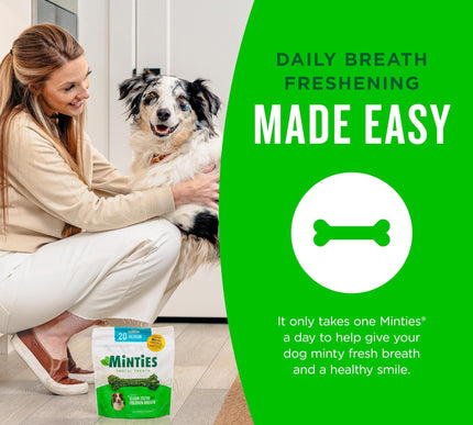 Product Image 7 - Minties Dental Chews f