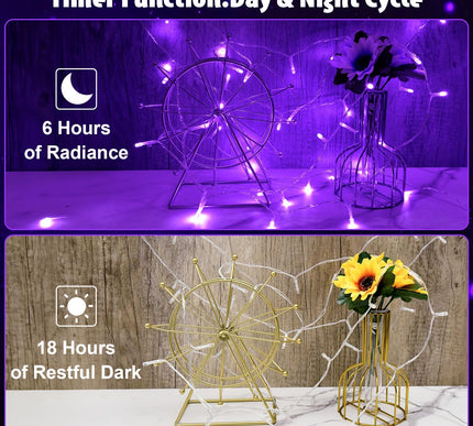 Product Image 2 - cshare String Lights O