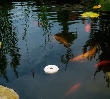 Product Image 3 - Summitresponsible solu