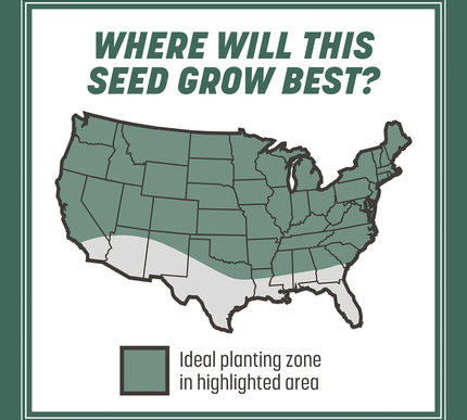 Product Image 6 - Pennington Kentucky 31