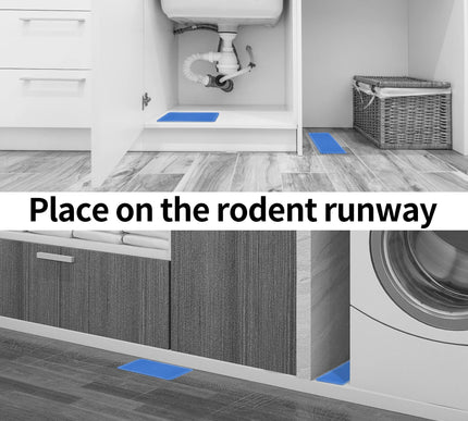 Product Image 4 - LULUCATCH Super Glue T