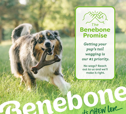 Product Image 6 - Benebone Wishbone Dura