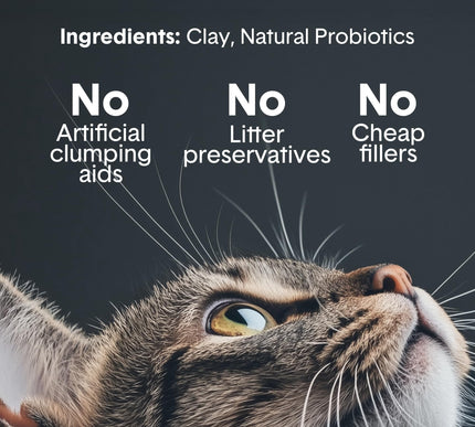 Product Image 3 - Boxie Probiotic Cat Li