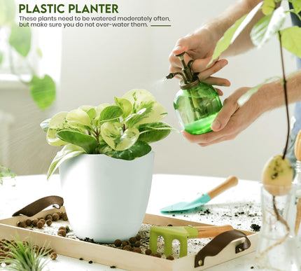 Product Image 5 - Utopia Home Plant Pots
