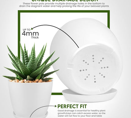 Product Image 4 - Utopia Home Plant Pots
