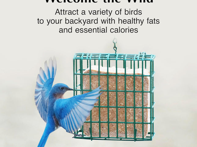 Product Image 3 - CS HIGH Energy Delight