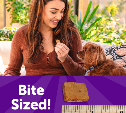 Product Image 4 - Wellness Puppy Treats,