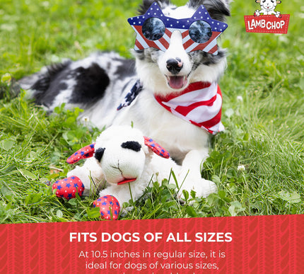 Product Image 7 - Multipet Lamb Chop Dog