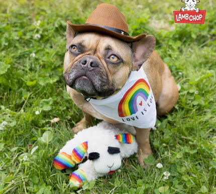 Product Image 8 - Multipet Lamb Chop Dog