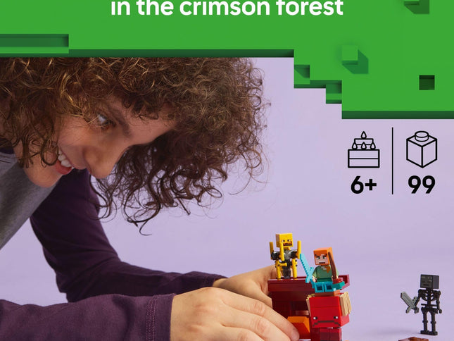 Product Image 2 - LEGO Minecraft The Net