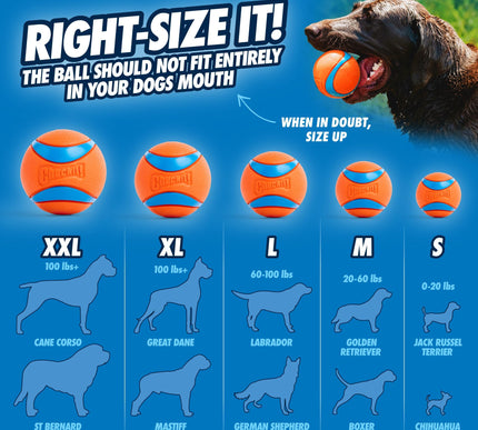 Product Image 5 - Chuckit! Ultra Ball Do