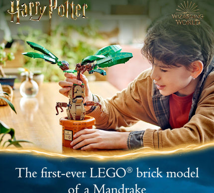 Product Image 3 - LEGO Harry Potter Mand