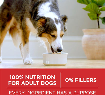 Product Image 7 - Purina ONE Dry Dog Foo