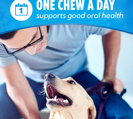 Product Image 8 - Purina DentaLife Made 