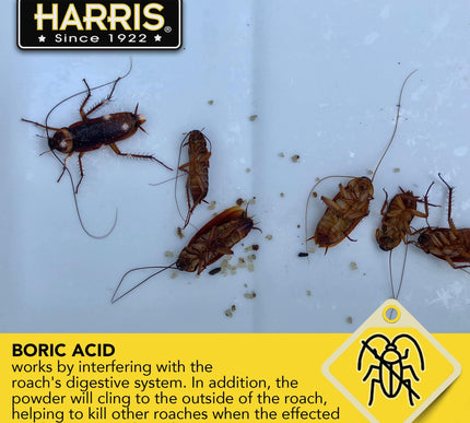 Product Image 6 - HARRIS Boric Acid Roac