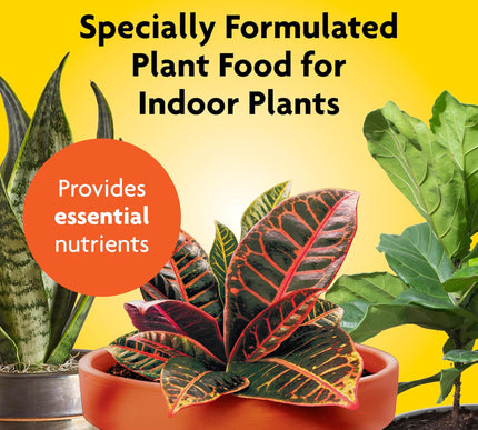 Product Image 3 - MiracleGro Indoor Plan