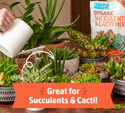 Product Image 4 - Back to the Roots 100 