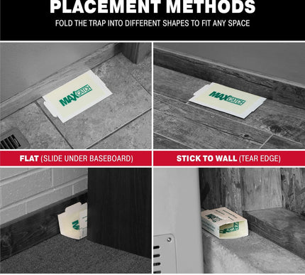 Product Image 6 - Catchmaster MaxCatch M