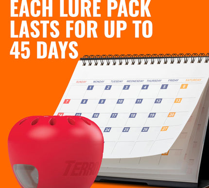 Product Image 7 - TERRO Fruit Fly Traps 