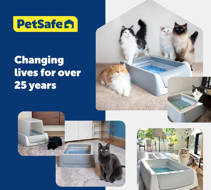 Product Image 7 - PetSafe ScoopFree Prem