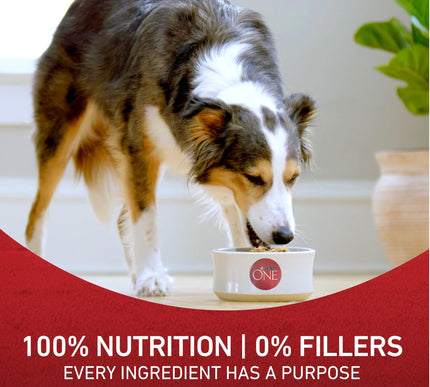 Product Image 8 - Purina ONE Chicken and