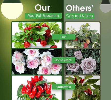 Product Image 3 - Briignite Grow Light B