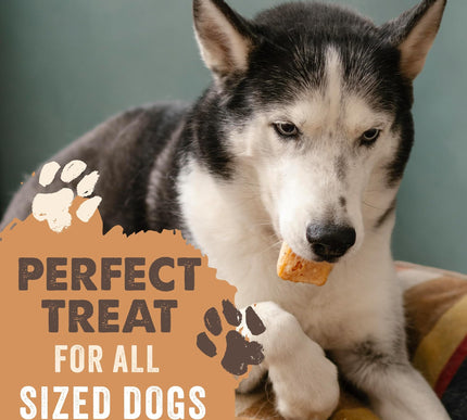 Product Image 5 - Mighty Paw Yak Cheese 