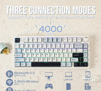 Product Image 3 - EPOMAKER x Aula F75 Ga