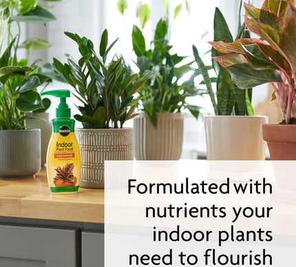 Product Image 5 - MiracleGro Indoor Plan