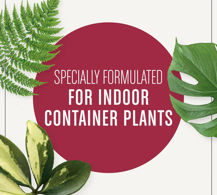 Product Image 6 - MiracleGro Houseplant 