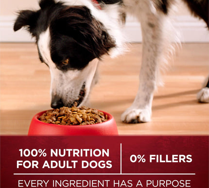 Product Image 7 - Purina ONE True Instin