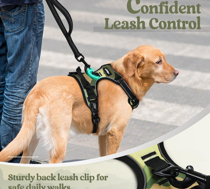 Product Image 6 - rabbitgoo Dog Harness 