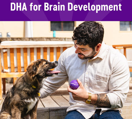 Product Image 3 - Wellness Puppy Treats,