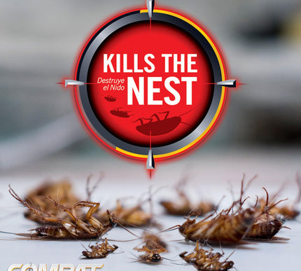 Product Image 3 - Combat Max Roach Killi