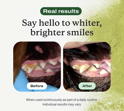 Product Image 8 - PetLab Co. ProBright D