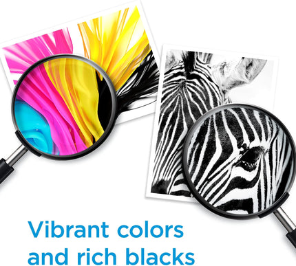 Product Image 5 - HP 962 Original Ink Ca