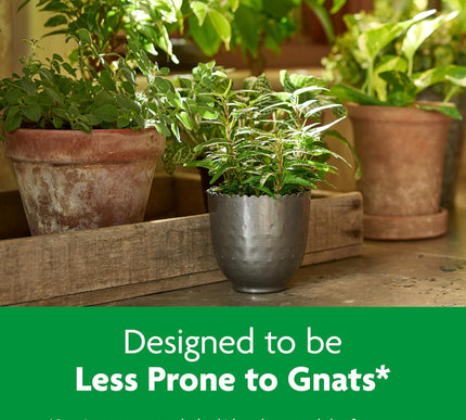 Product Image 5 - MiracleGro Indoor Pott