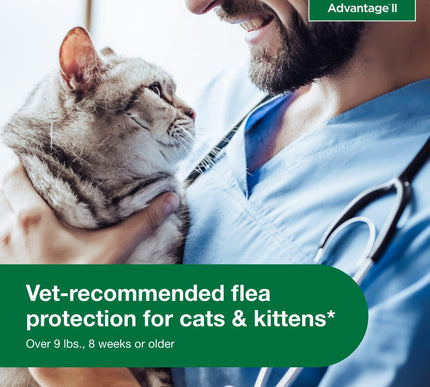 Product Image 4 - Advantage II Large Cat