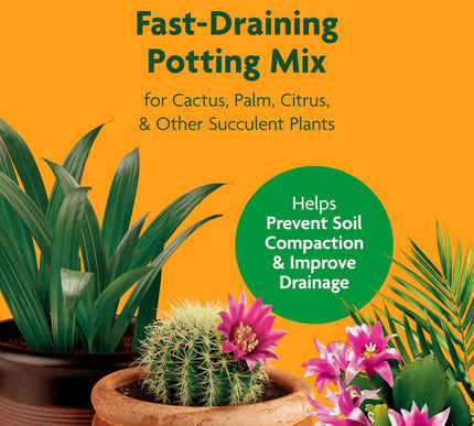 Product Image 3 - MiracleGro Cactus Palm