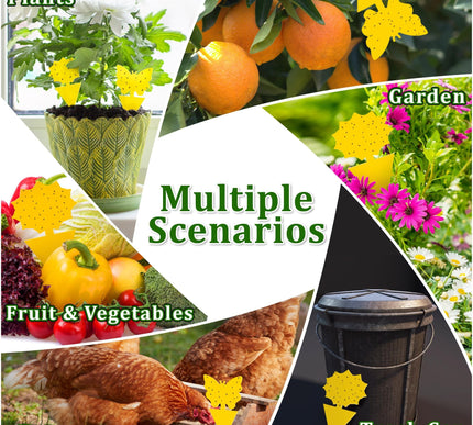 Product Image 4 - Landisun Fruit Fly Tra