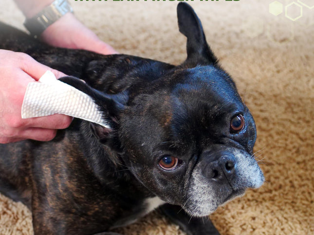 Product Image 2 - Dog Ear Cleaning Finge