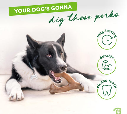 Product Image 3 - Benebone Wishbone Dura