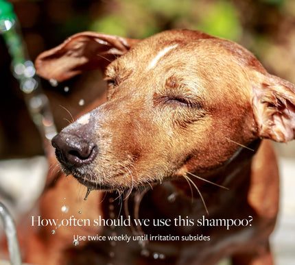 Product Image 6 - Veterinary Formula Cli